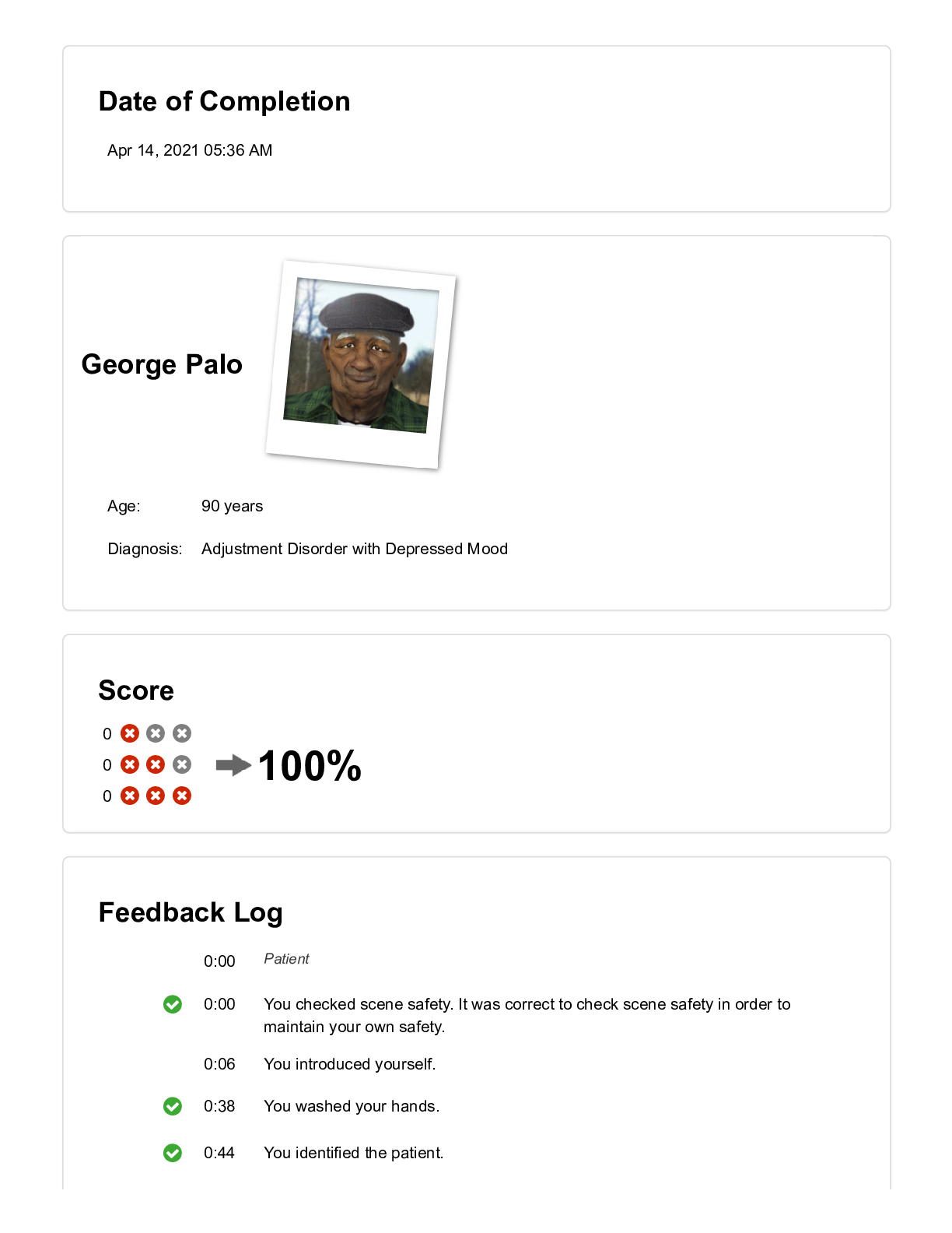 Preview image for VSIM George Palo Feedback Log